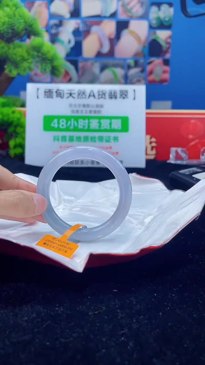 【闪购商品】翡翠手镯未镶嵌手镯5