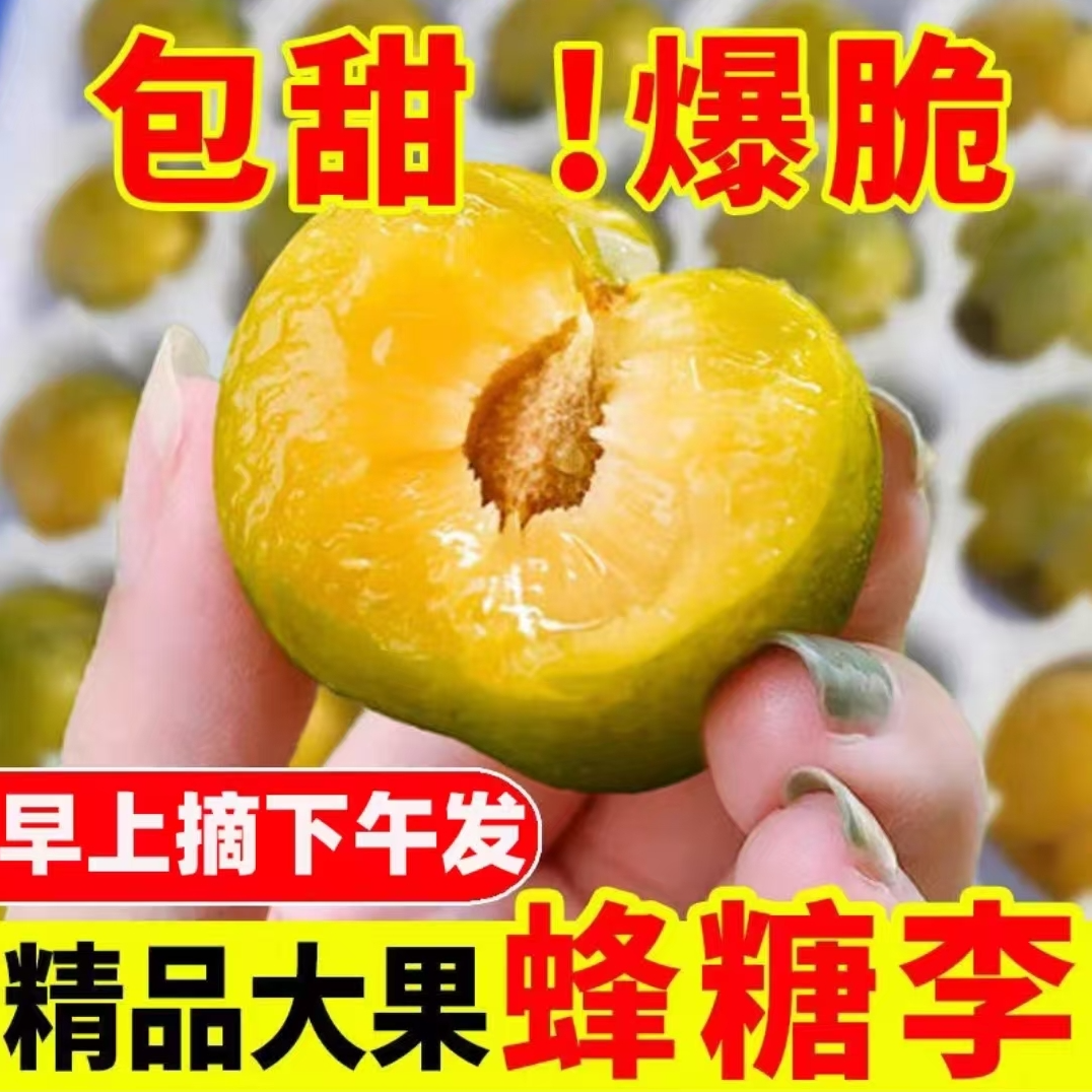正宗贵州六马蜂糖李新鲜现发脆甜李子脱骨李时令新鲜水果QQ贵州省