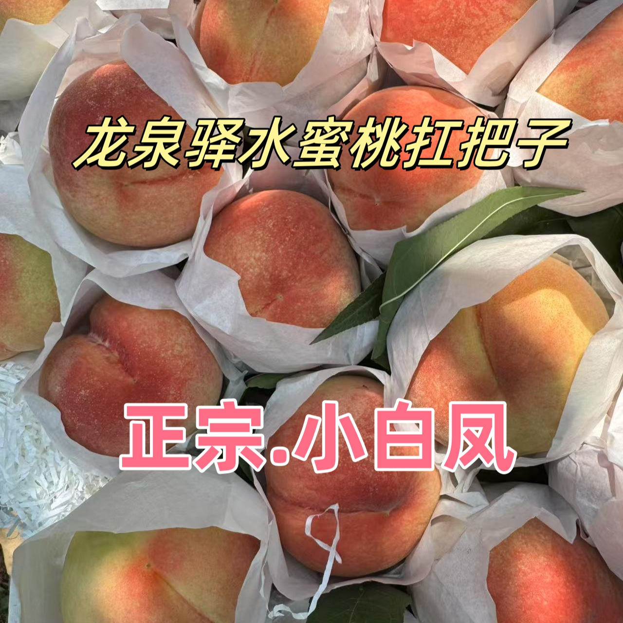 【京东生鲜专线】正宗龙泉驿小白凤水蜜桃龙泉山水蜜桃现摘现发