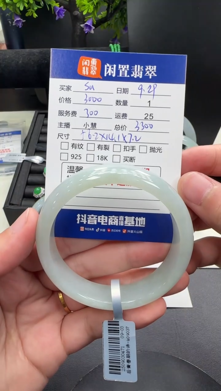 未镶嵌手镯翡翠S*N翡翠手镯