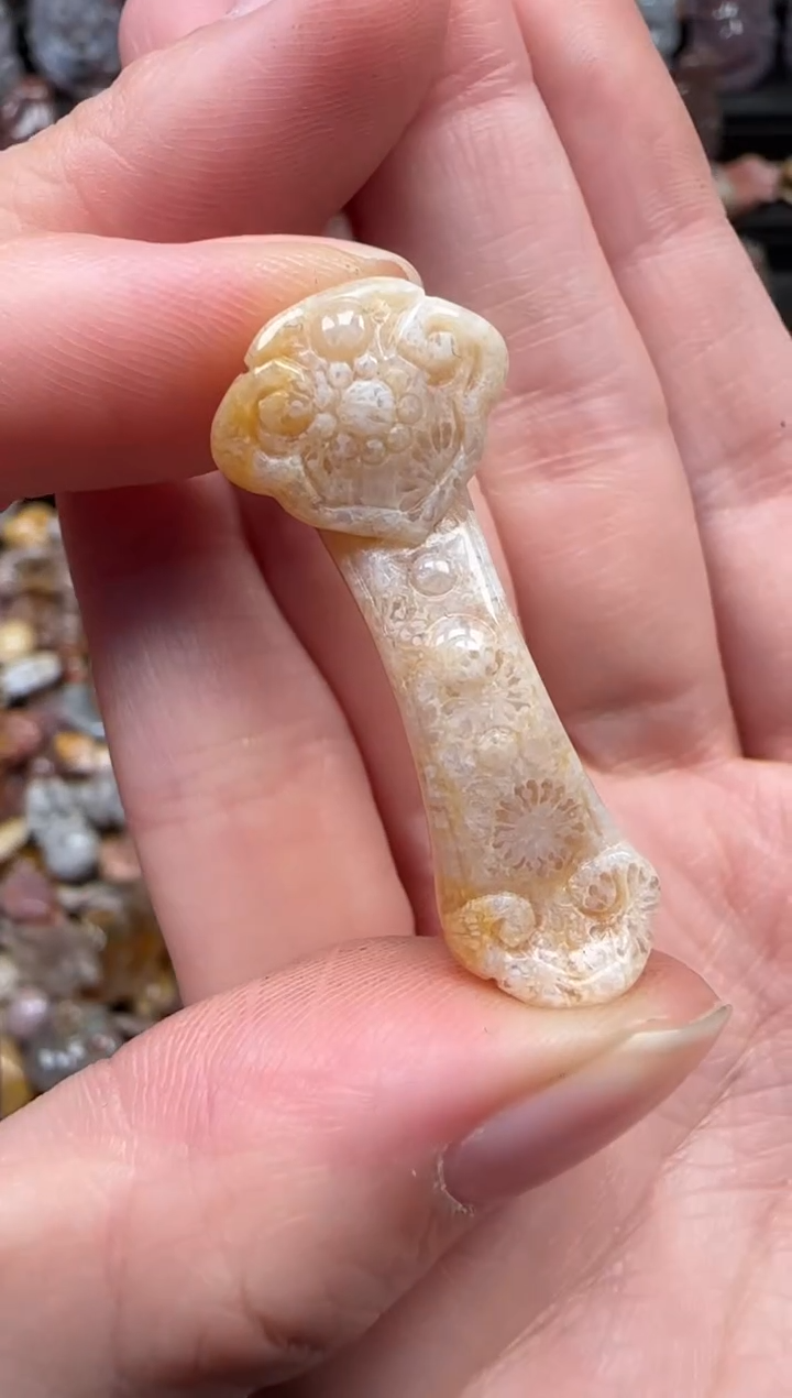 颈饰未镶嵌硅化珊瑚（珊瑚玉）224