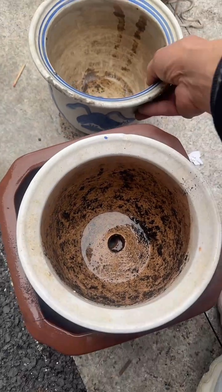 茶盏紫*澜直播闪购改价链接23