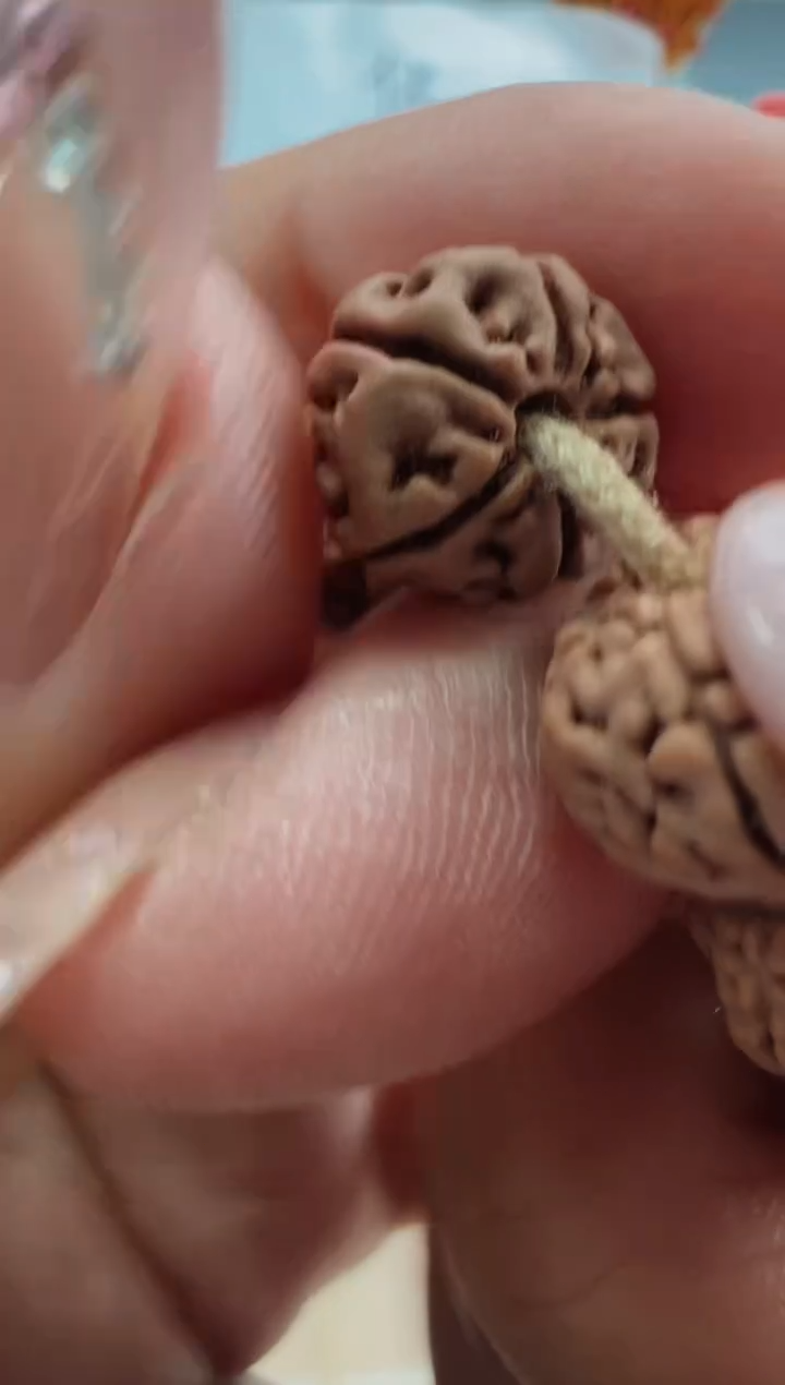 手串金刚菩提813龙珠