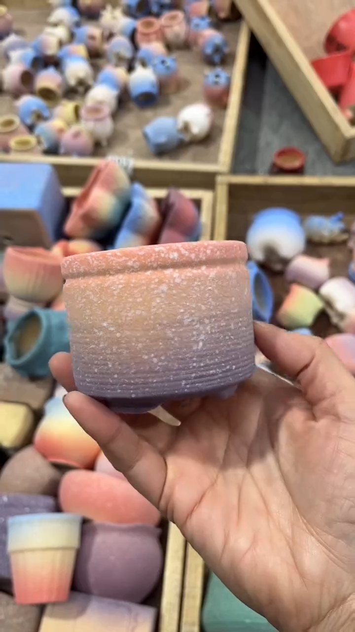 【闪购商品】红陶6.5*5