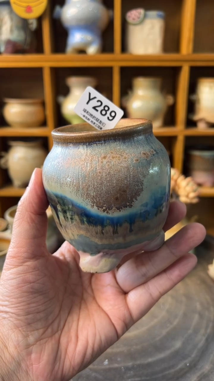 天***梨289【多肉花盆多肉盆】