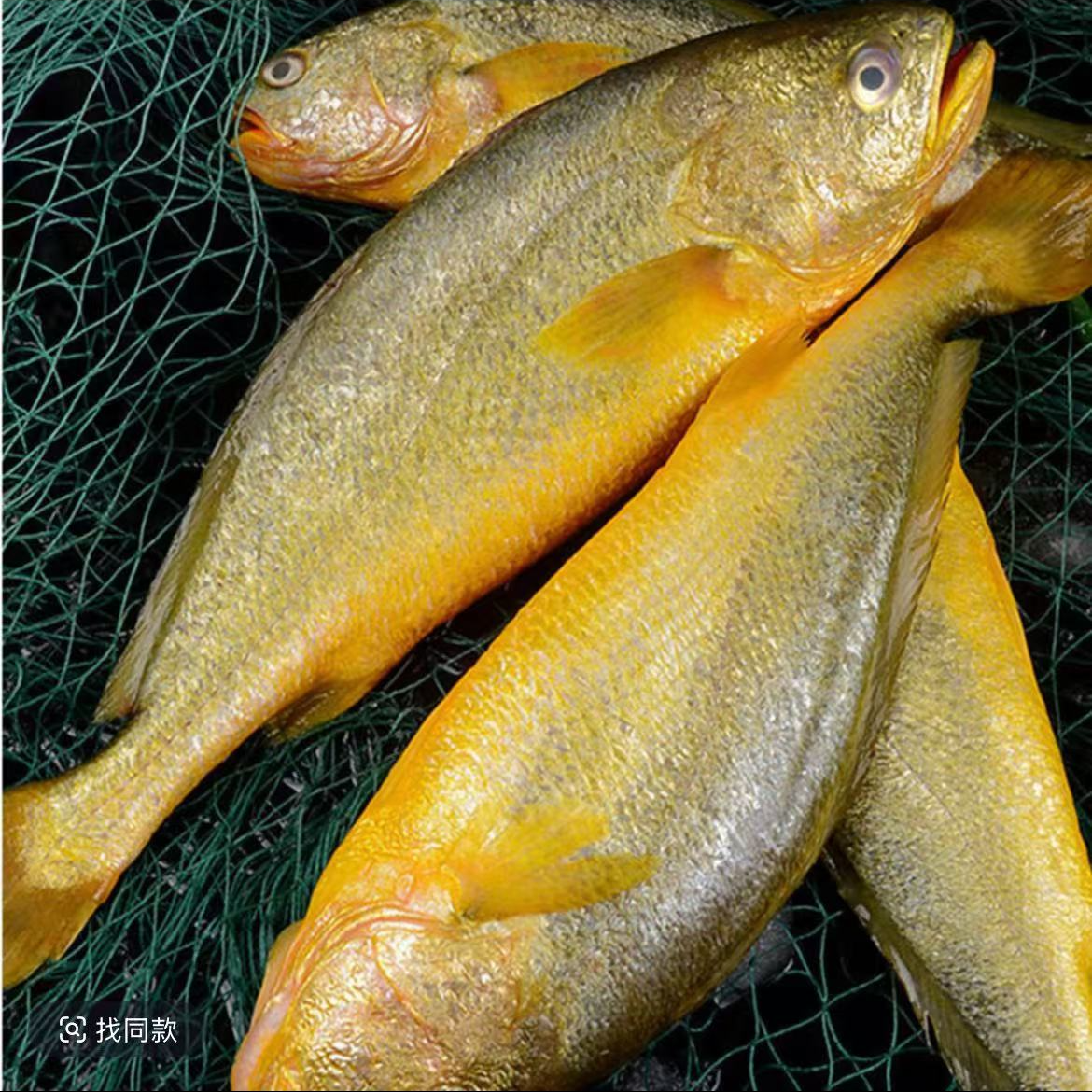生态黄花鱼3条（3.5斤左右）  天津发货