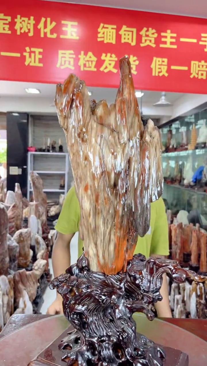 硅化玉珠宝奇石未镶嵌缅甸天然树化玉