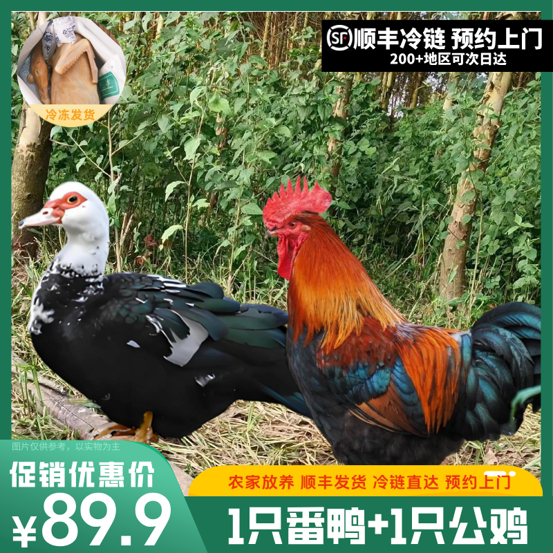 【鸡鸭组合】一只（净膛）番鸭+一只农家土公鸡 净膛宰杀后8斤 顺丰冷链包邮 