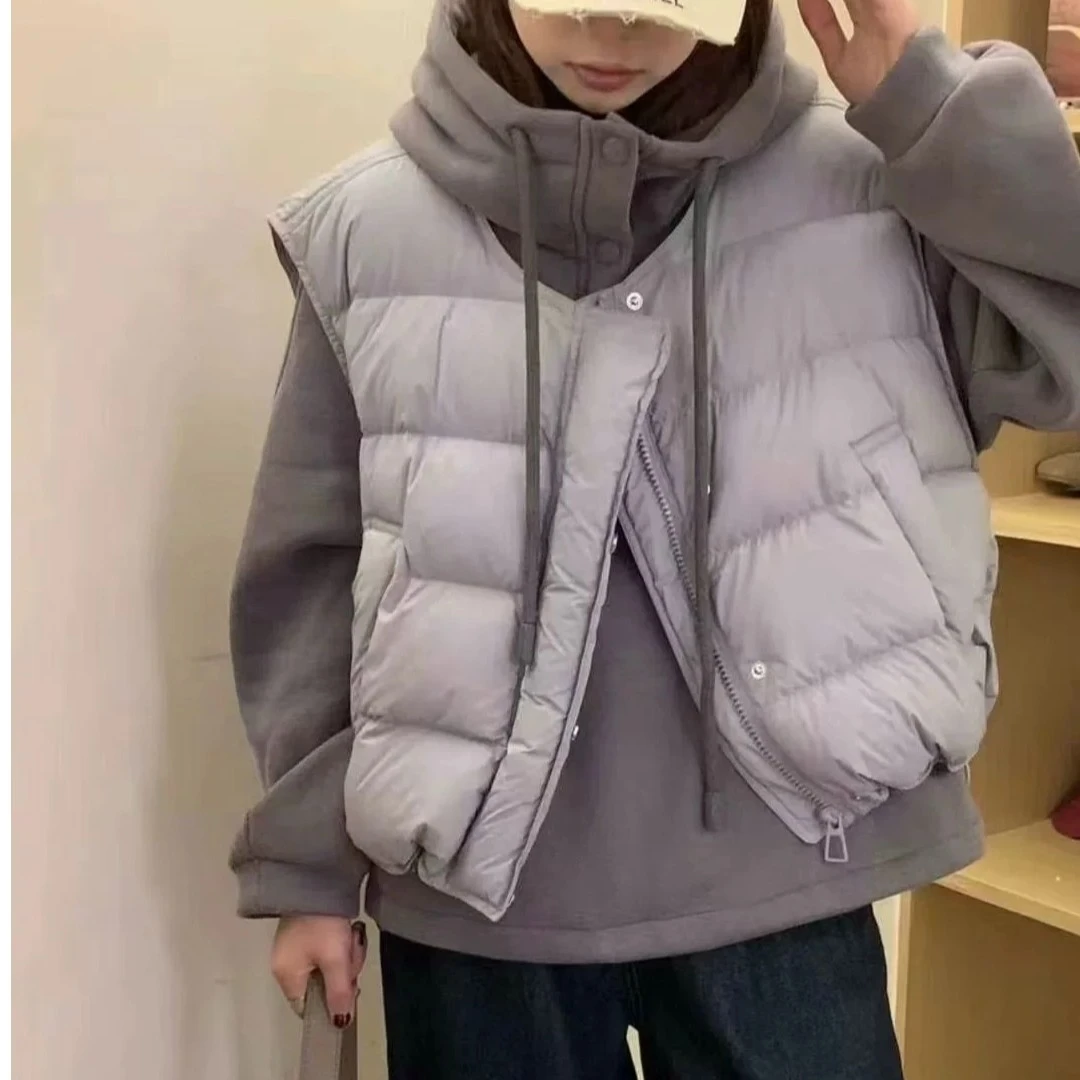 套装加绒休闲网红开衫保暖立领韩版冬季两件宽松马甲卫衣两件套