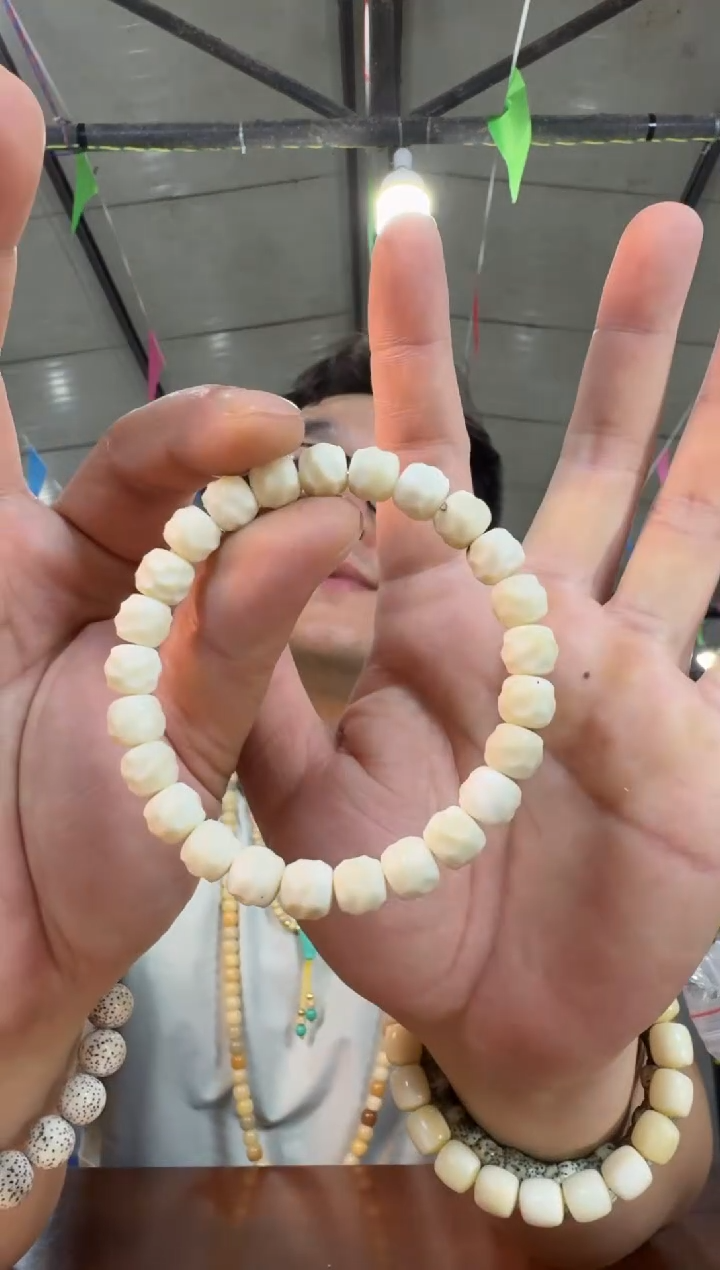 菩提根/象牙果手串A9实物为准6