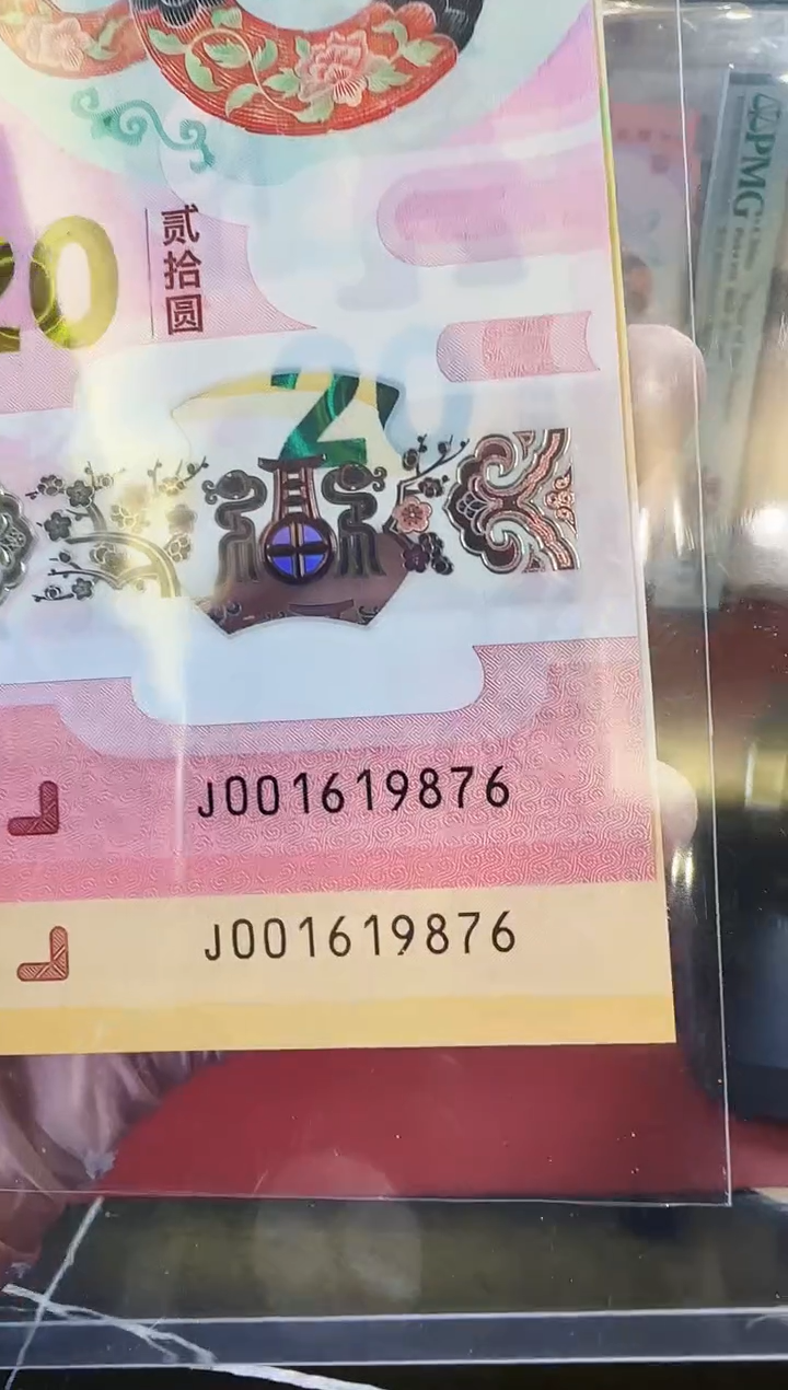 【闪购商品】塑料2025蛇钞全同号001619876裸