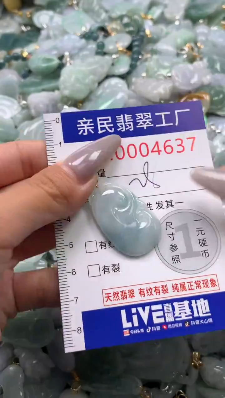 颈饰未镶嵌翡翠4637