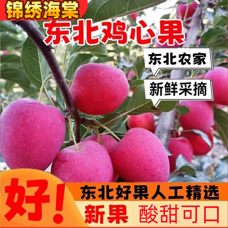 【张小仙】顺丰包邮东北鸡心果又脆又多汁酸甜可口现摘现发