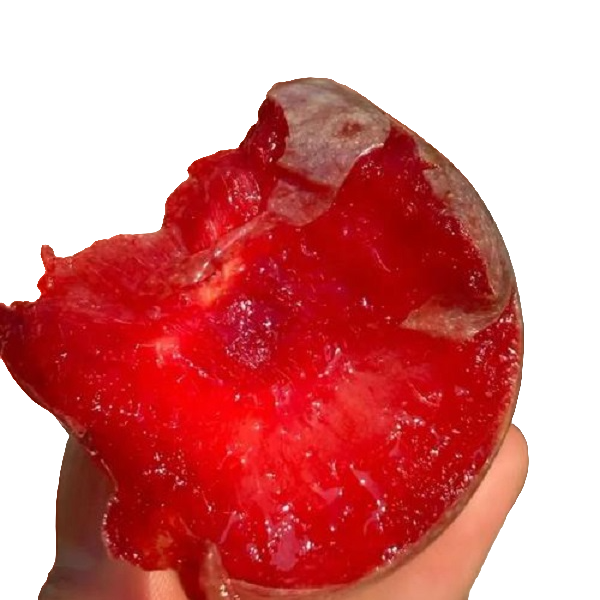 【顺丰包邮】 恐龙蛋李子 新疆阿克苏李子 香甜微酸爽口多汁新疆维吾尔自治区