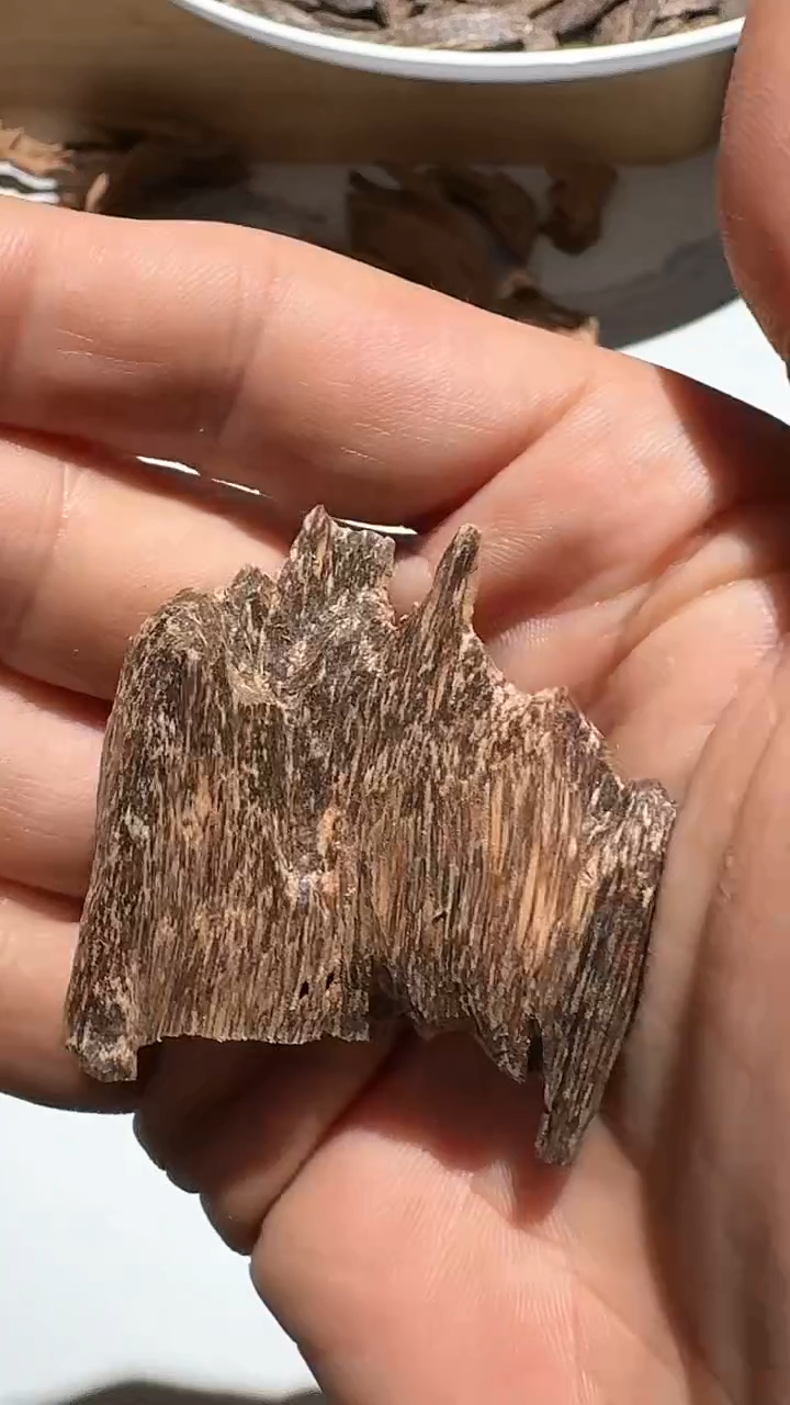 【闪购商品】沉香手把件广东料6.1g