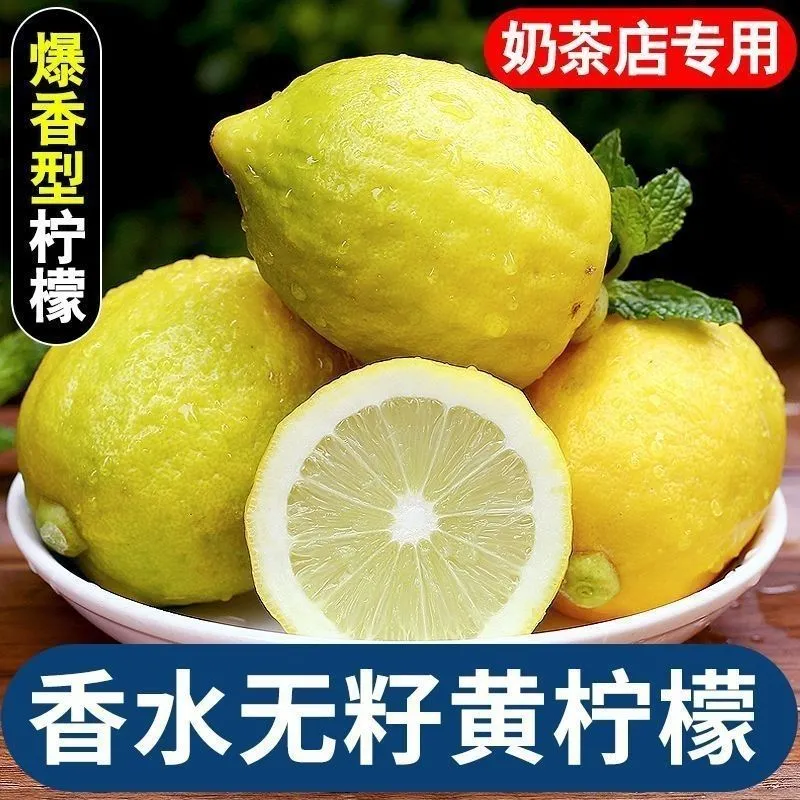 广东香水柠檬无籽新鲜大黄果柠檬果园直发当季奶茶店商用非安岳