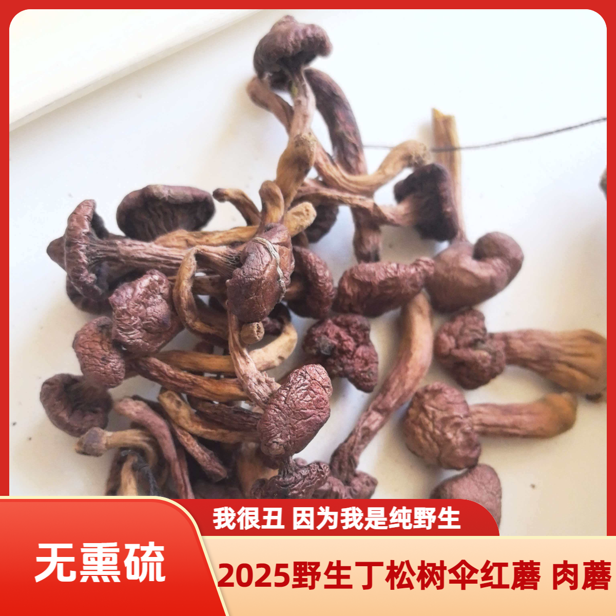 东北特产松树伞红蘑肉蘑丁500g无熏硫炖小鸡