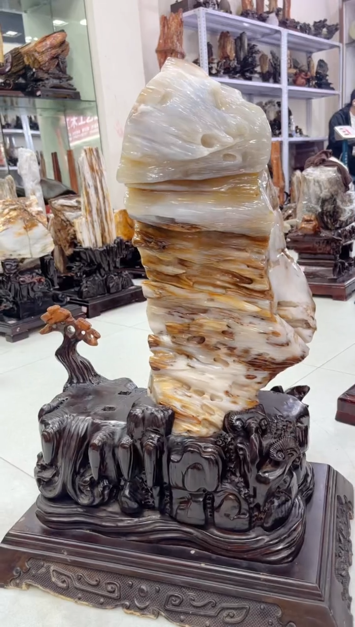 【闪购商品】硅化玉珠宝奇石未镶嵌缅甸天然树化玉