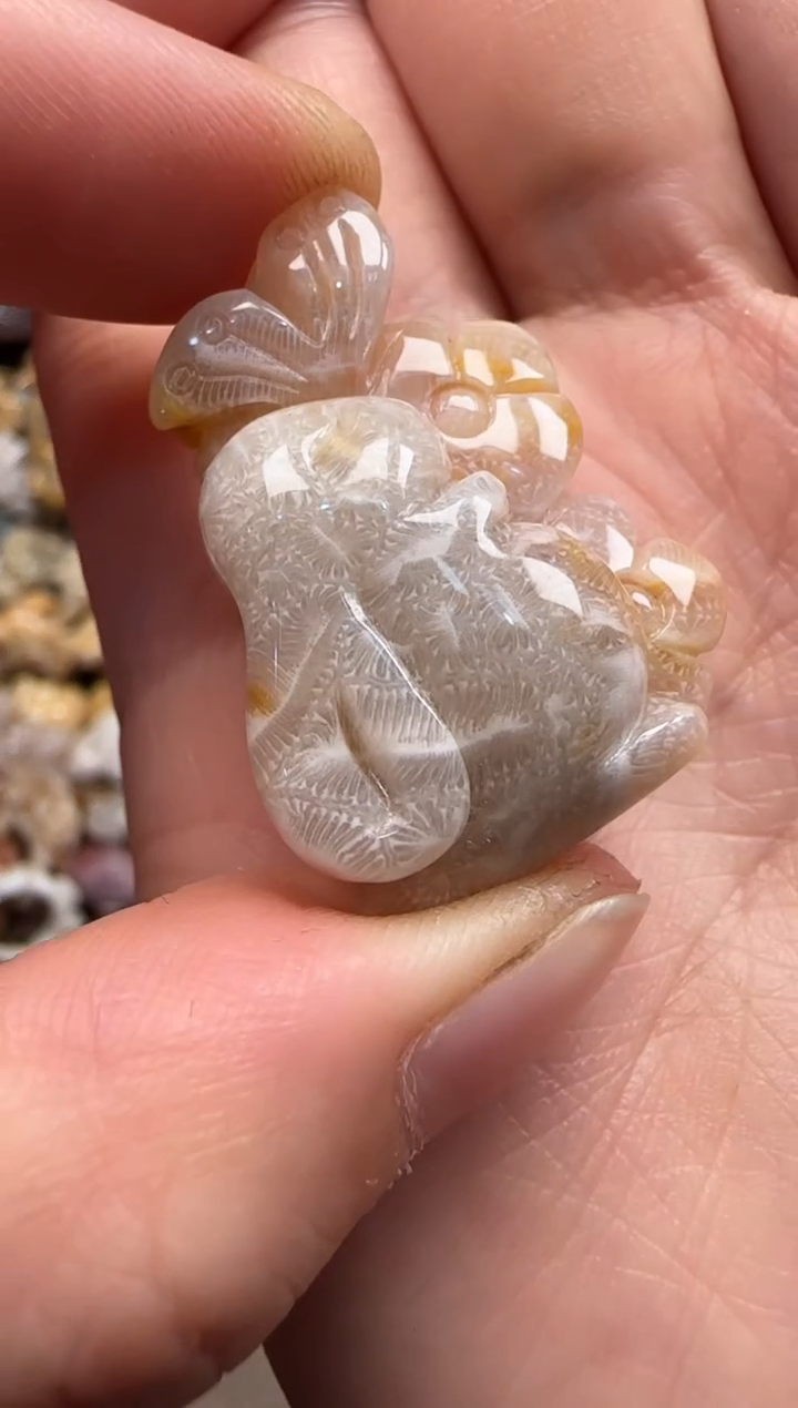 【闪购商品】硅化珊瑚（珊瑚玉）颈饰未镶嵌526