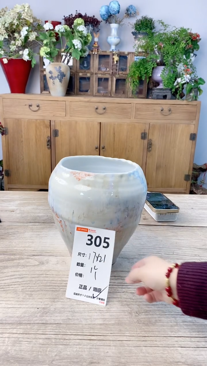 小玩子花盆直播号305