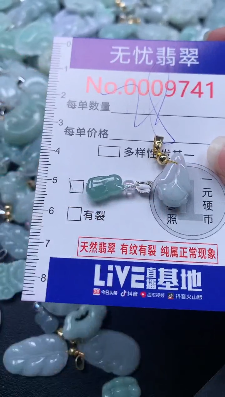 颈饰未镶嵌翡翠9741