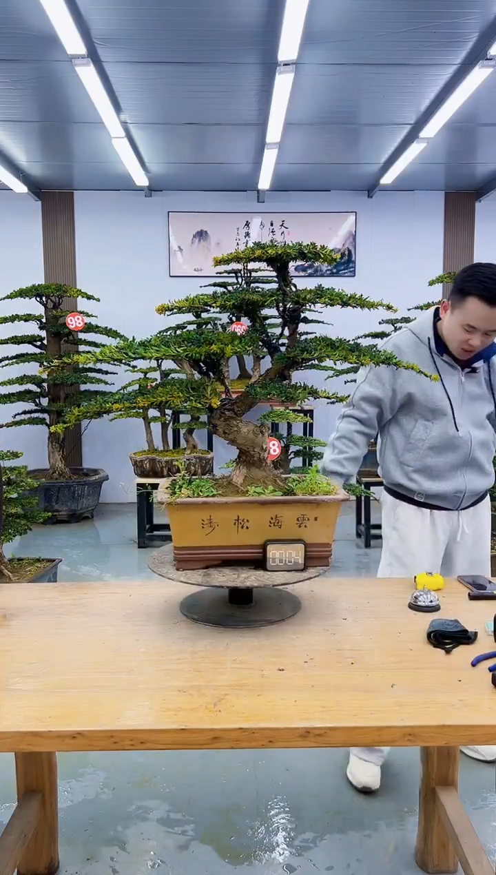 以实际为准00000000