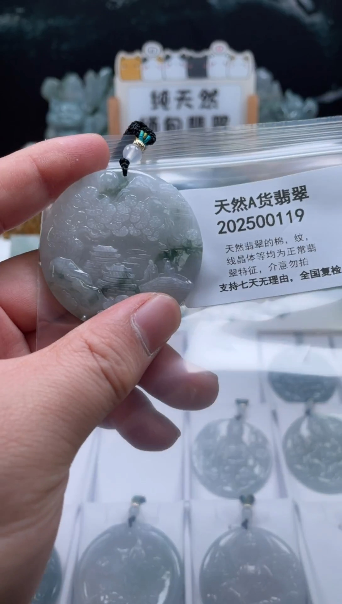 颈饰未镶嵌翡翠翠峰翡翠202512100078