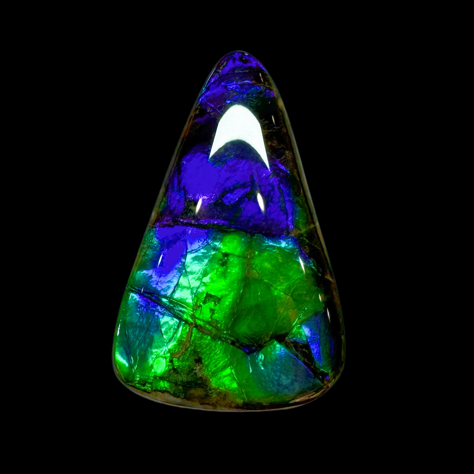 【古贝壳（原石）】38mm BC 产地：加拿大 Y9