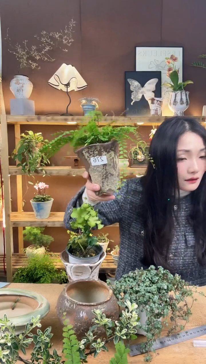 无花朵276凤舞加盆一套