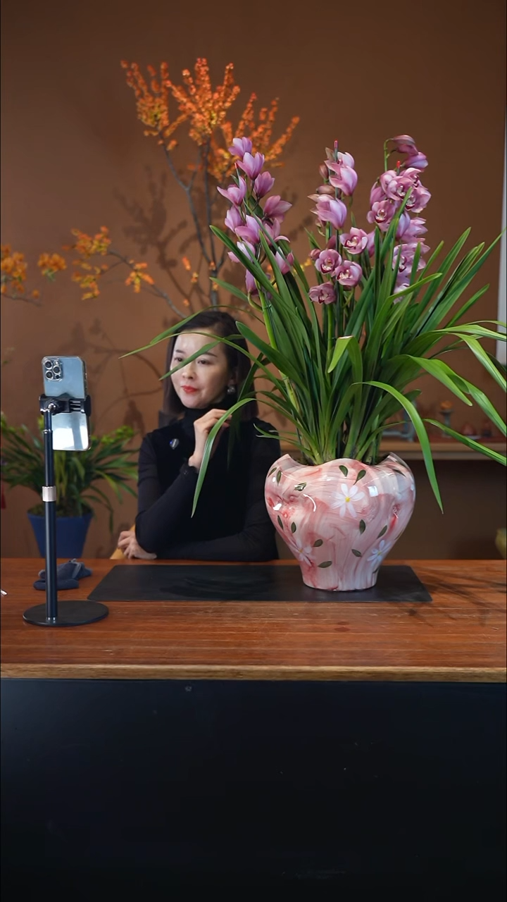 全部花朵彩蝶盆景盆景盆景