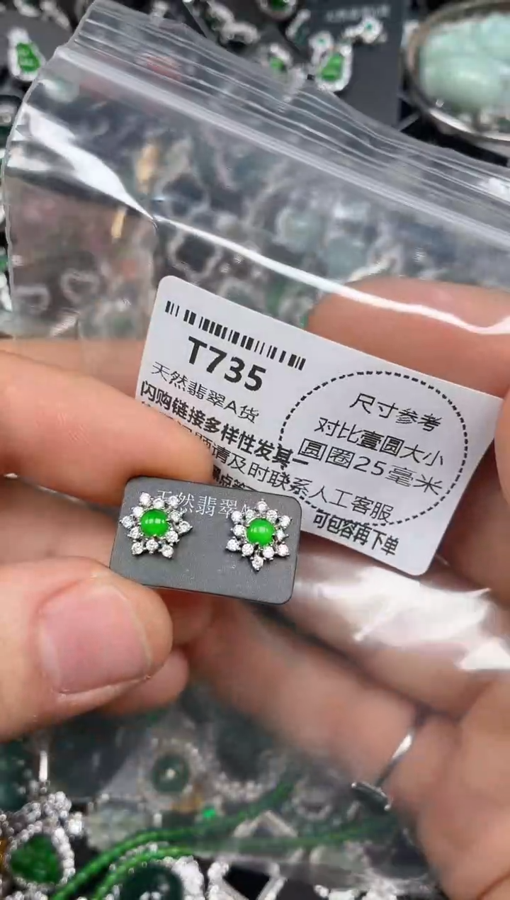 颈饰未镶嵌翡翠T735耳钉