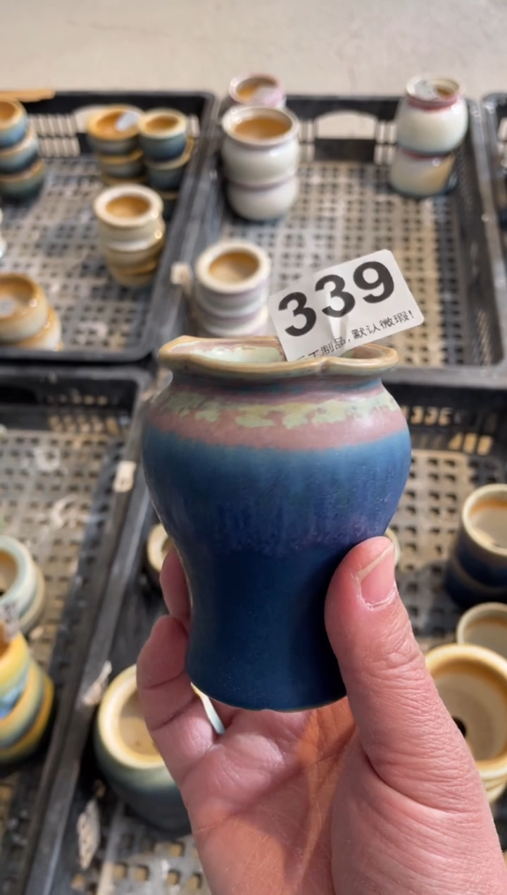 瓷片339小芳直播编号