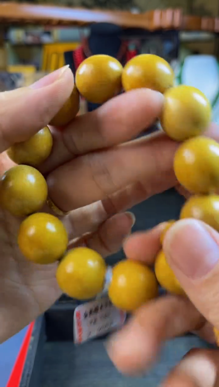 破布木（黄金檀）————————————————瓷