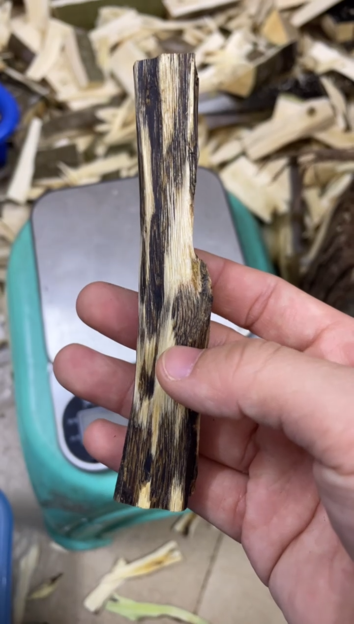 【闪购商品】沉香木沉香碎屑棋楠沉香 原料文创1