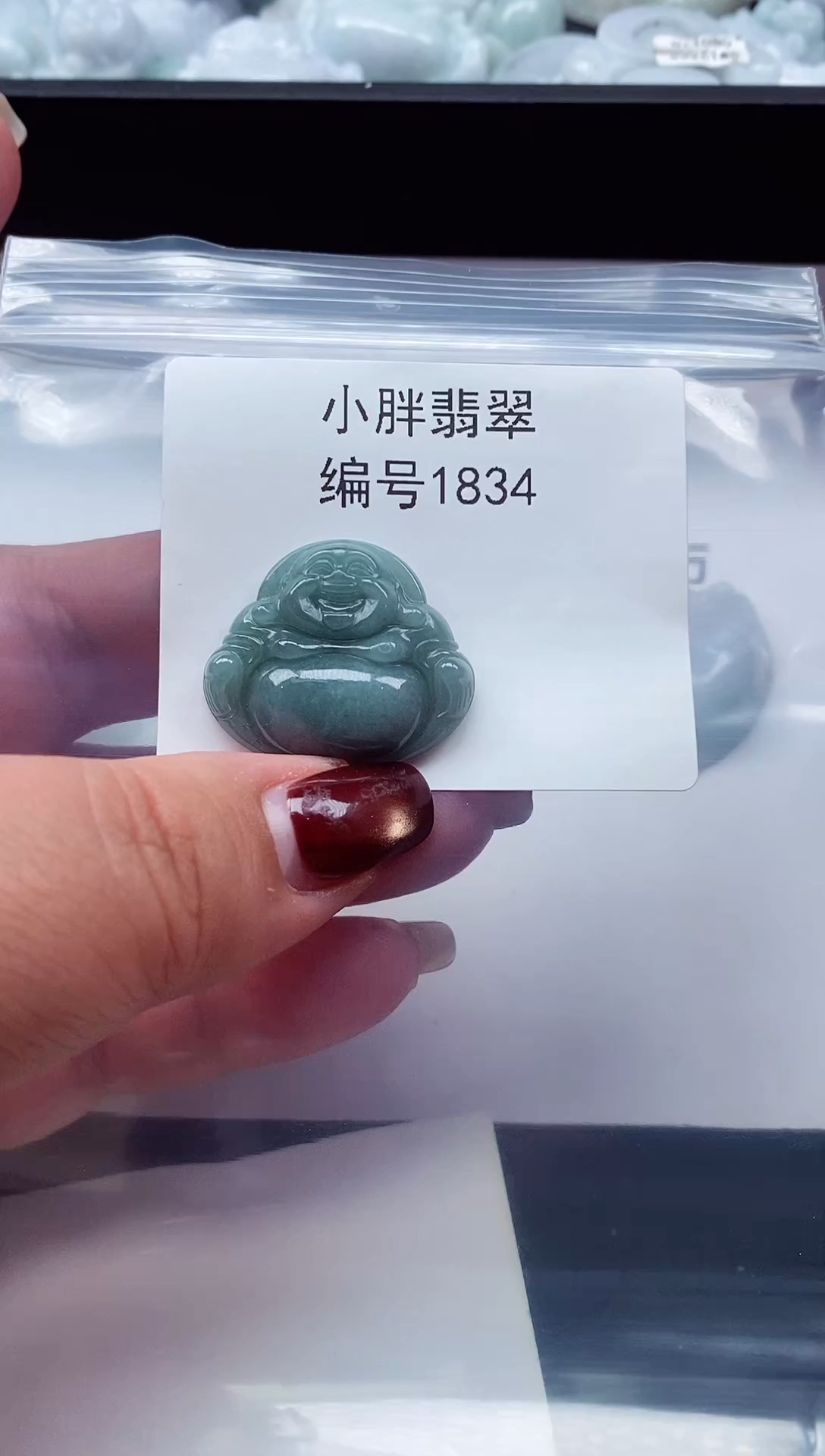 颈饰未镶嵌翡翠缅甸天然A货翡翠1834