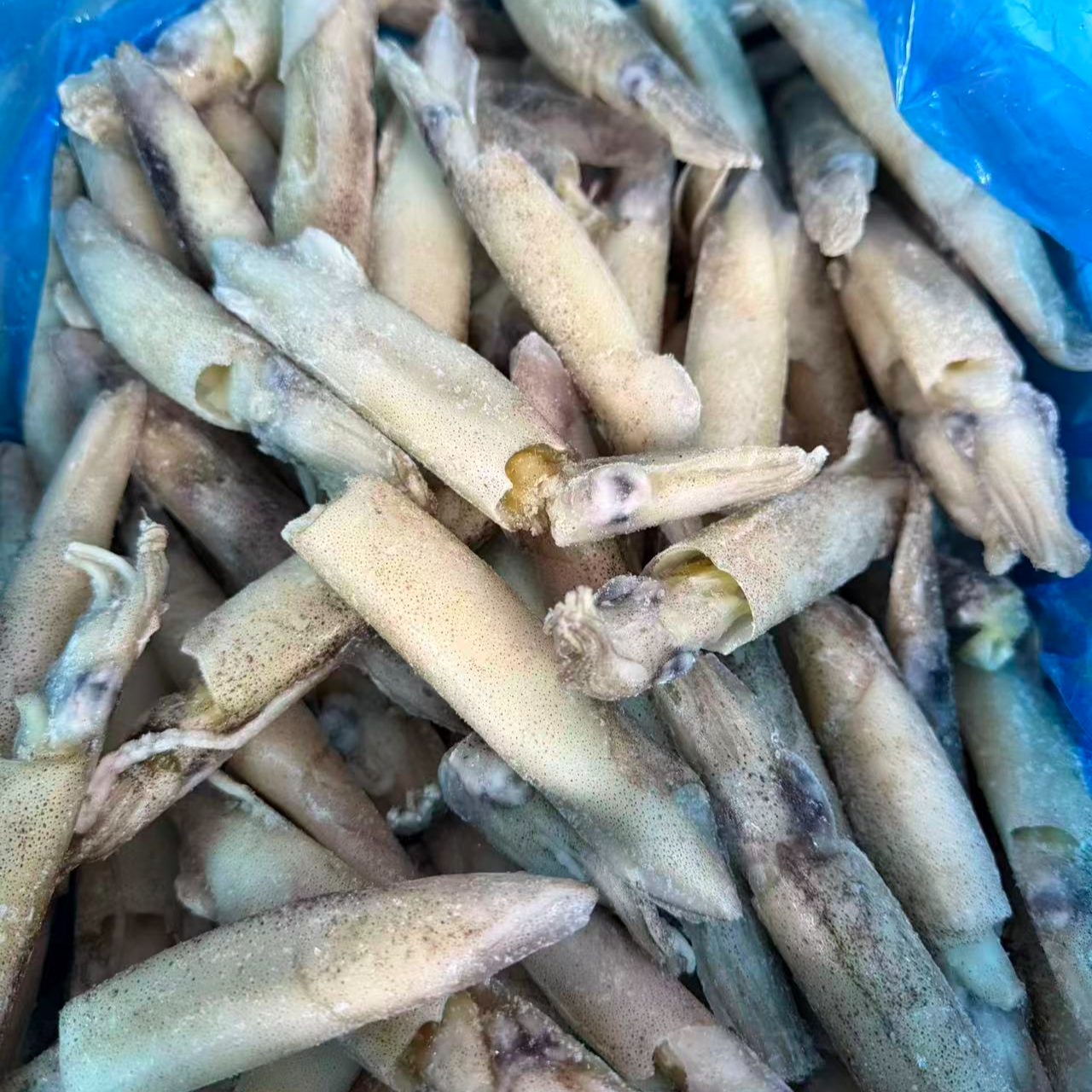 鲜冻的笔管鱼可以酱爆火锅