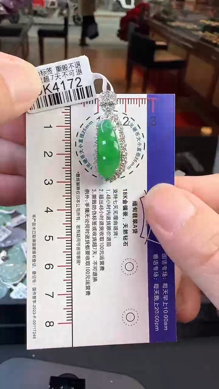 【闪购商品】翡翠颈饰18K金镶嵌DK4172冰绿豆豆