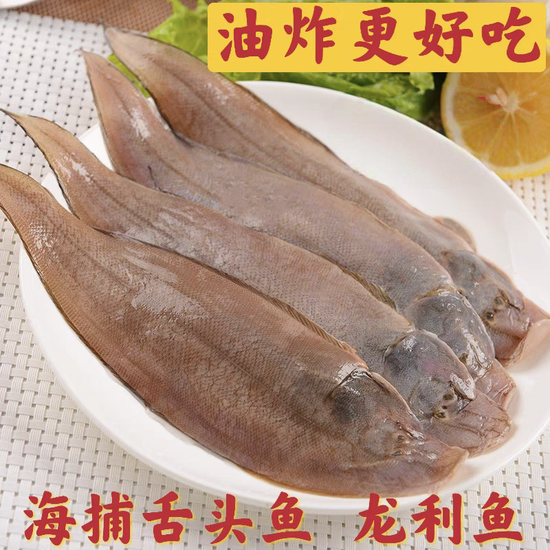 海捕龙利鱼五斤舌头鱼新鲜踏板鱼油炸香煎好吃顺丰包邮