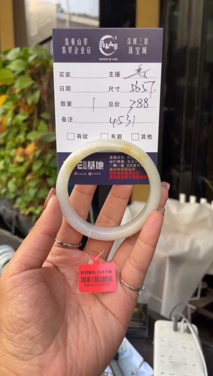 未镶嵌手镯翡翠C 56-57正圈 4531