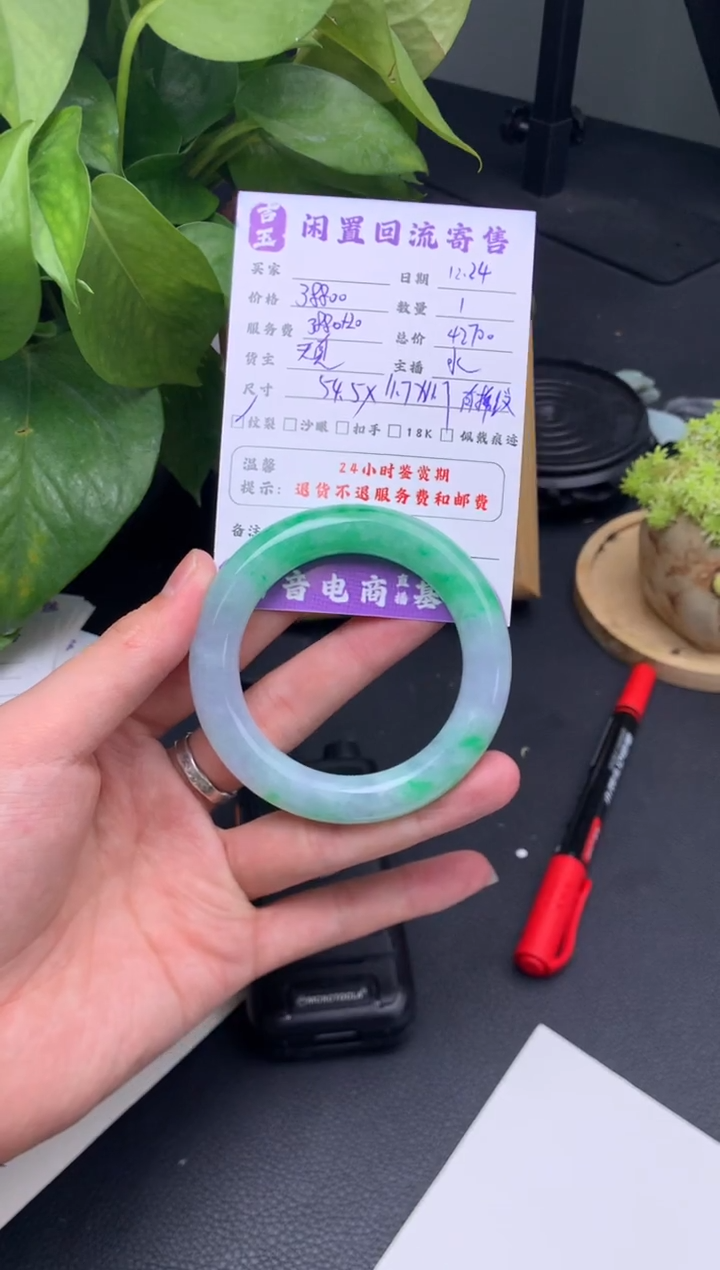 未镶嵌手镯翡翠手镯