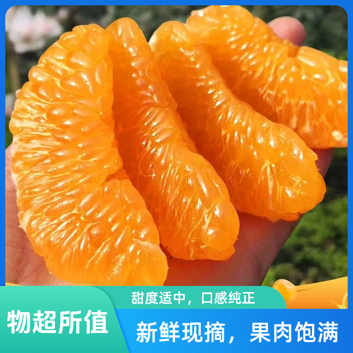 【精品果】正宗四川耙耙柑次日达 现摘现发1.5kg