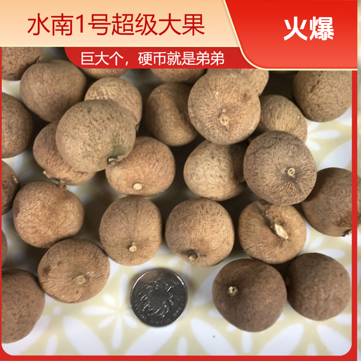 莆田桂圆干水南1号（特级大果28-30mm）古法烘焙，柴火烘焙，非遗工艺