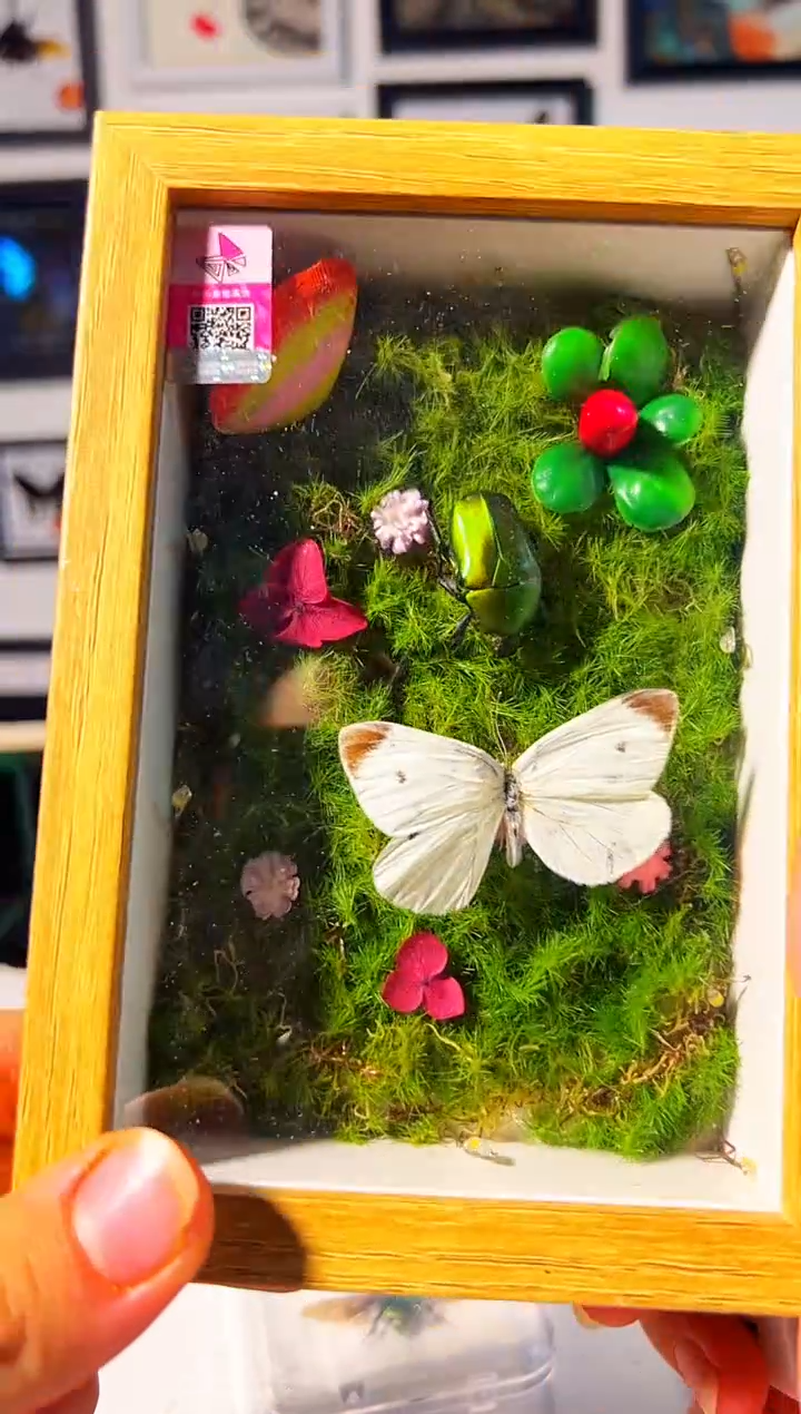 有机玻璃315648989