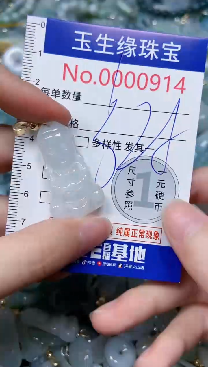 【闪购商品】翡翠颈饰未镶嵌闪购0000914