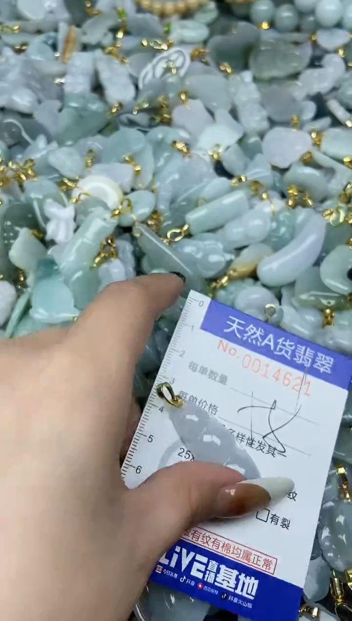 【闪购商品】翡翠颈饰未镶嵌天然A货翡翠