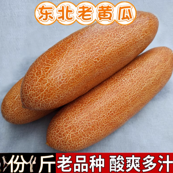 当季现摘东北特产麻皮老黄瓜种农家新鲜蔬菜炖汤凉菜开胃酸黄瓜