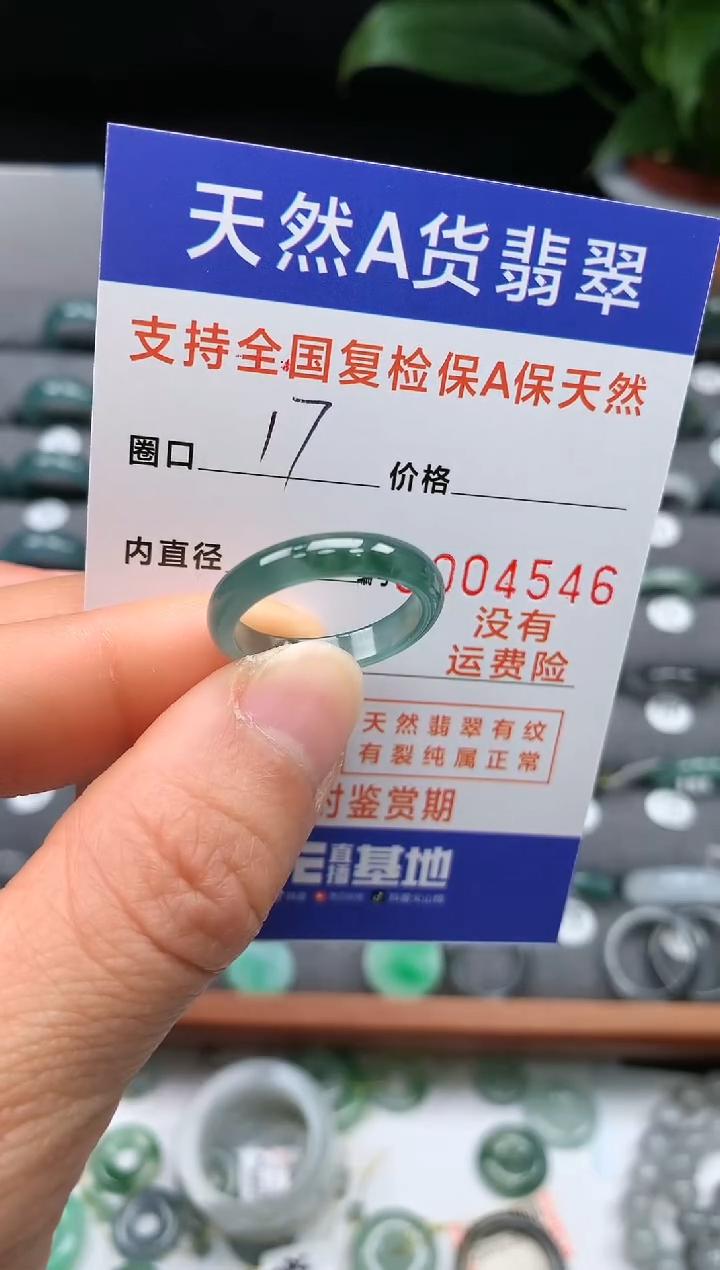 【闪购商品】翡翠戒指未镶嵌17号圈口4546
