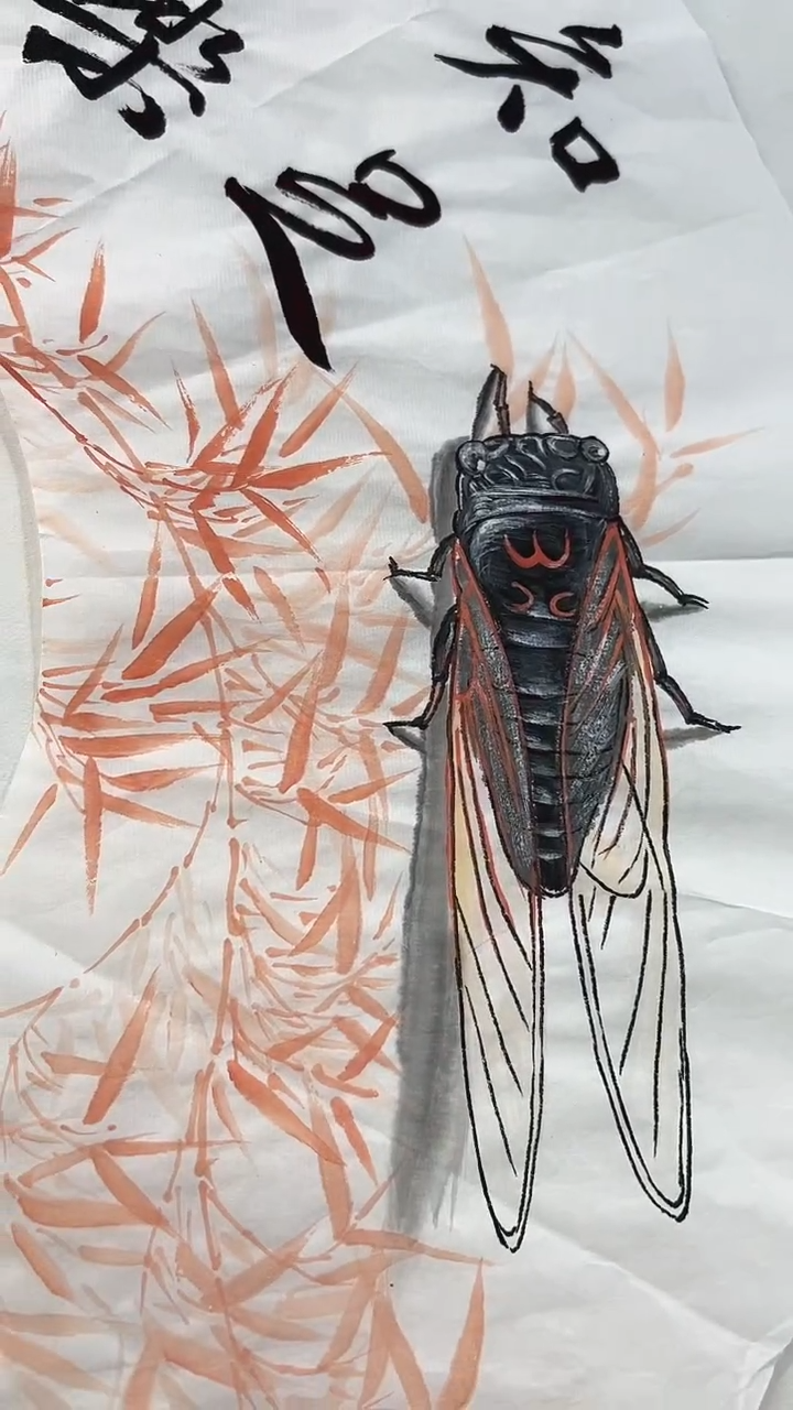 国画直播福利/国画/花鸟