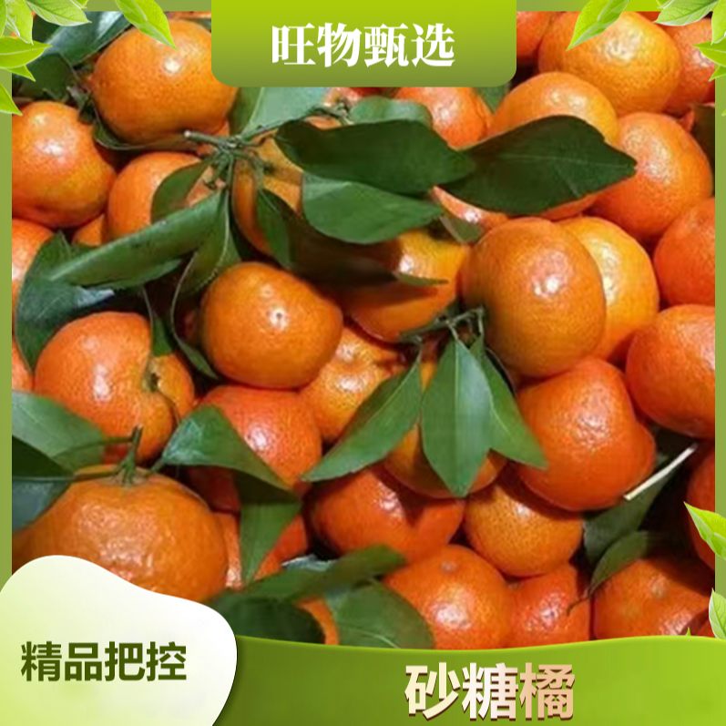 旺物甄选--砂糖橘一份2斤左右