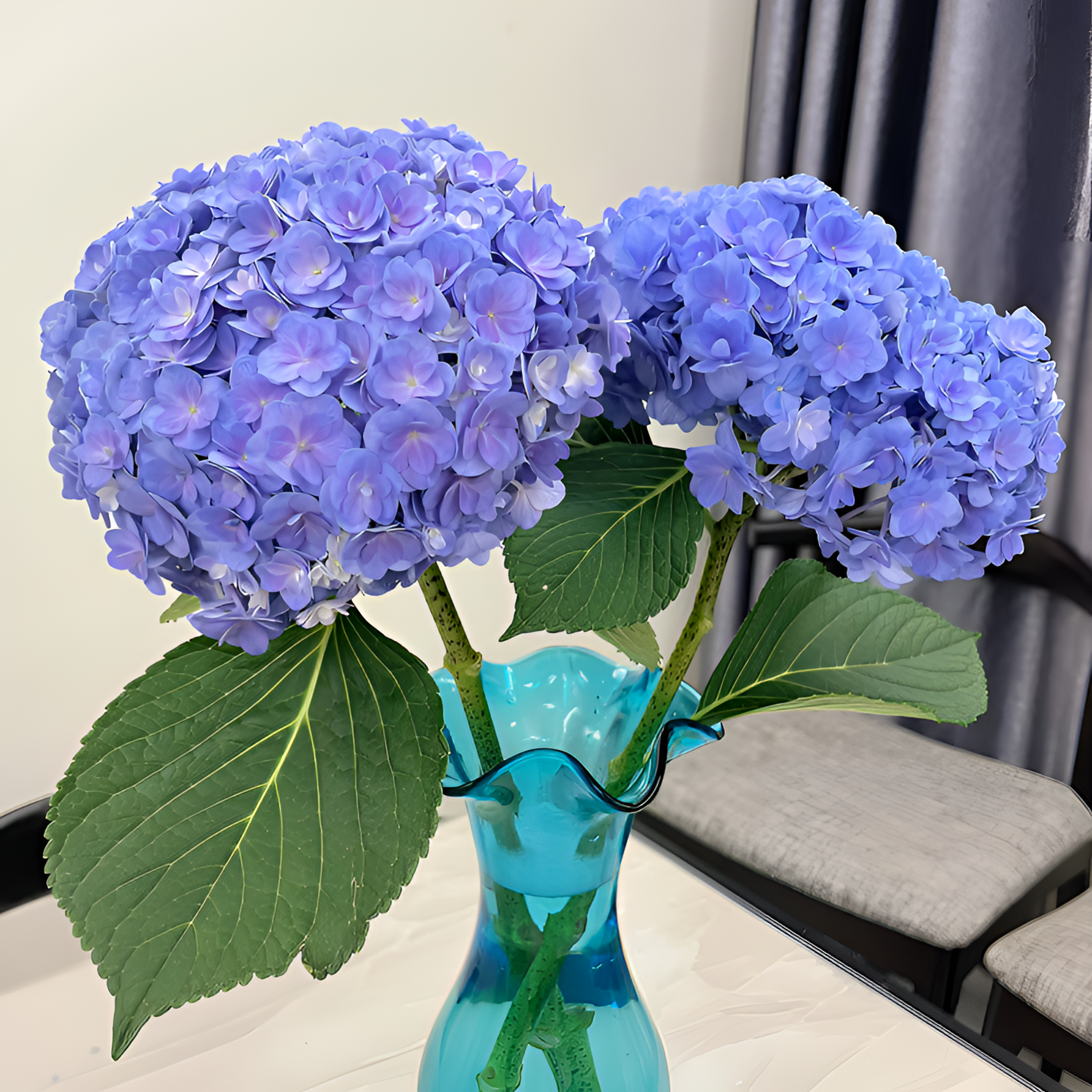 【银座鲜花】绣球重瓣蓝紫色绣球1支2单包邮鲜切花家居花生活鲜花